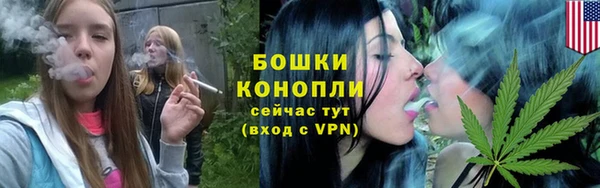 СК Горно-Алтайск
