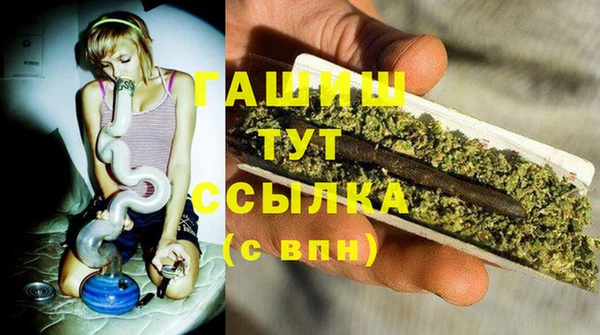 2c-b Горнозаводск