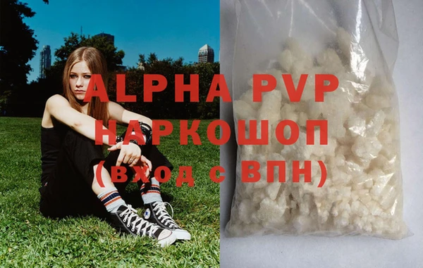 СК Горно-Алтайск