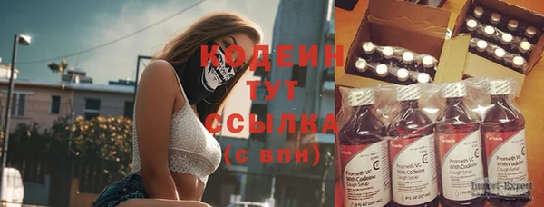 2c-b Горнозаводск