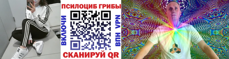Псилоцибиновые грибы MAGIC MUSHROOMS  Купить где  Ялуторовск 